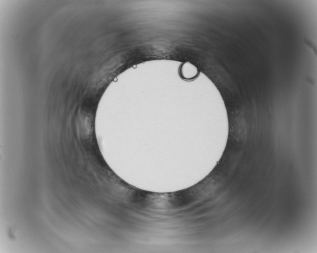 X0000103940131200810171824