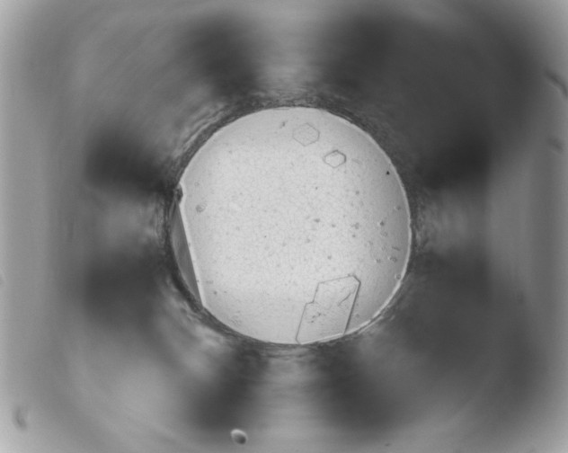 X0000103940132200810171824