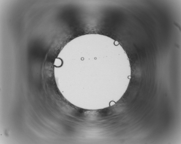 X0000103940133200810171824