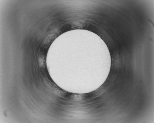 X0000103940134200810171824