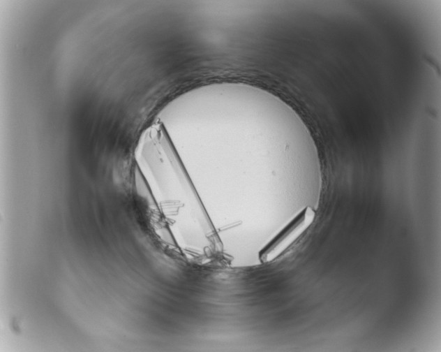 X0000103940136200810171823