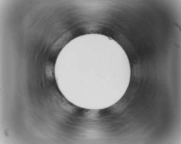 X0000103940138200810171823