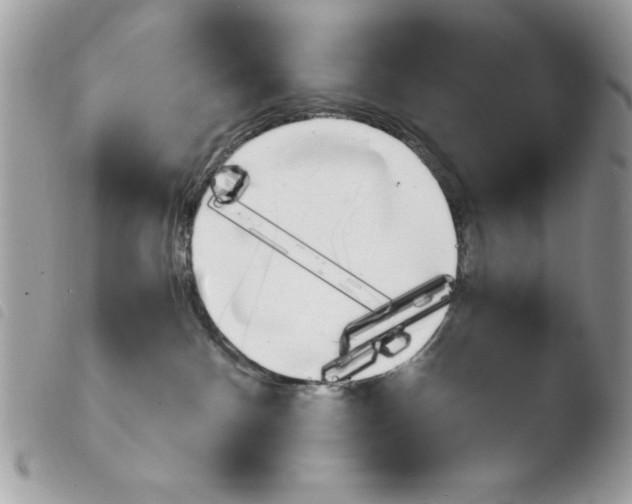 X0000103940140200810171823