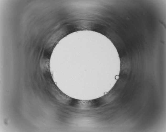 X0000103940141200810171823