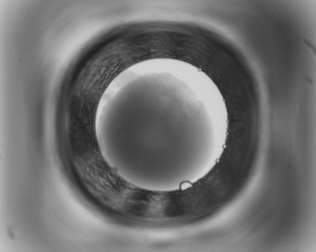 X0000103940143200810171823