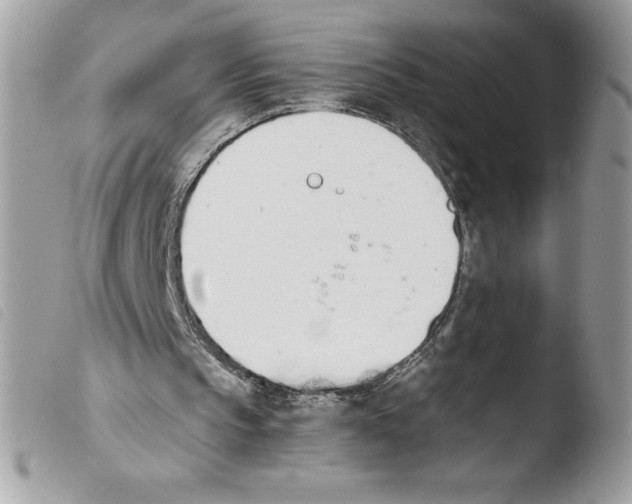 X0000103940145200810171823