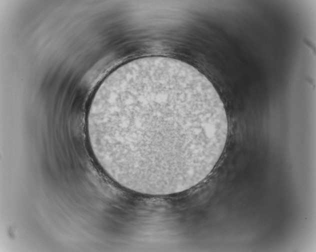 X0000103940146200810171823