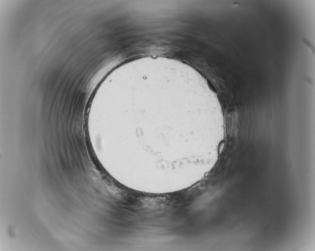 X0000103940147200810171823