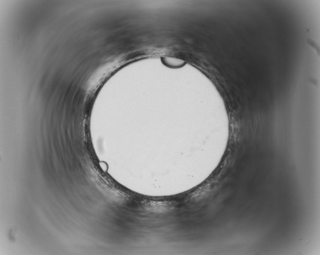 X0000103940149200810171823