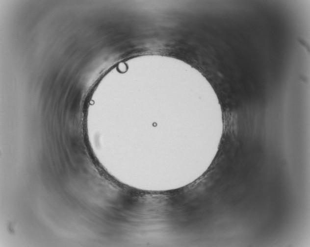 X0000103940150200810171823