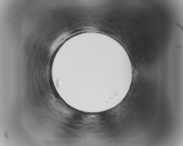 X0000103940151200810171823