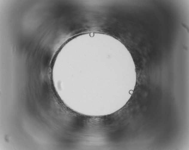 X0000103940152200810171823