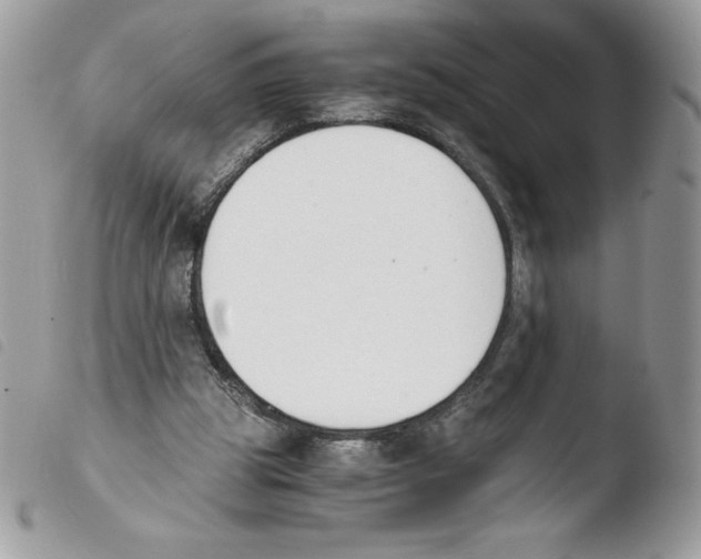 X0000103940153200810171823