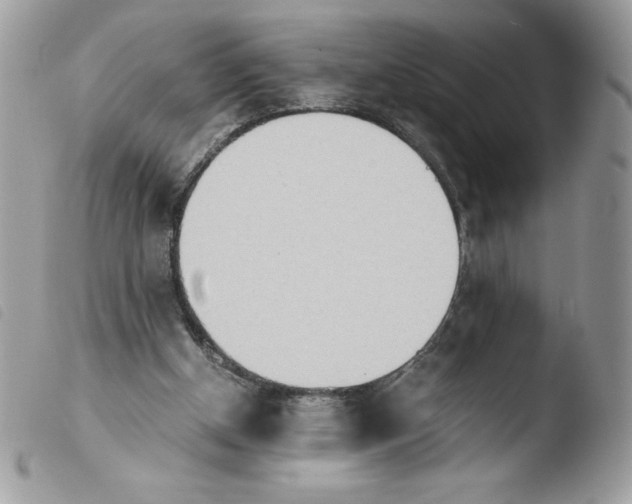 X0000103940154200810171823