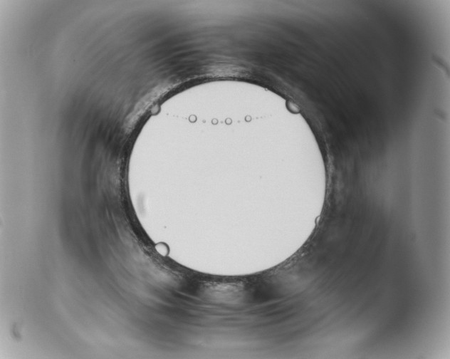 X0000103940155200810171823