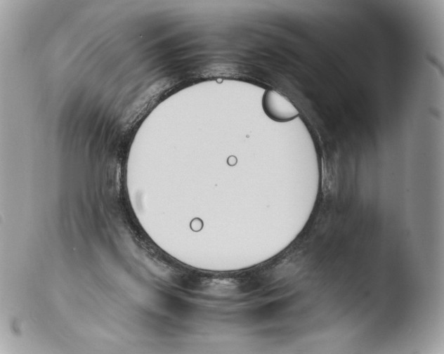 X0000103940157200810171823