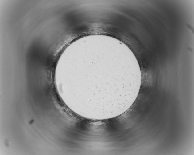 X0000103940158200810171823