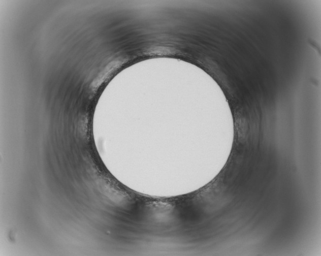 X0000103940159200810171823