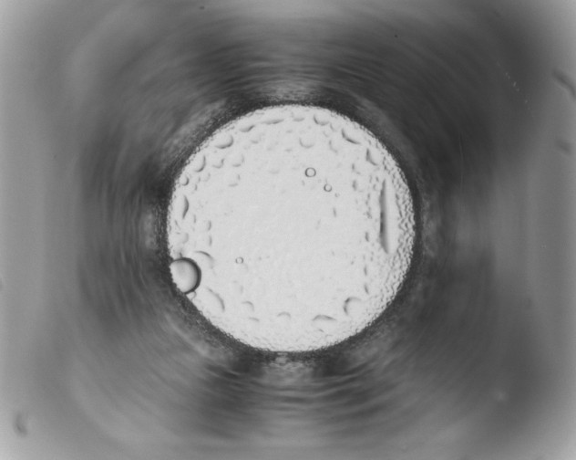 X0000103940161200810171823