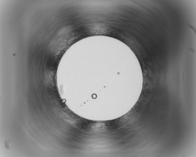 X0000103940162200810171823