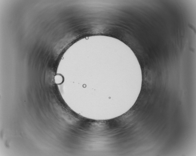 X0000103940164200810171823