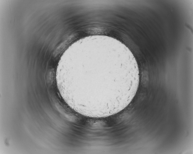 X0000103940165200810171823