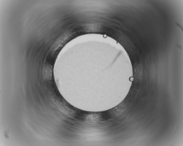 X0000103940168200810171823