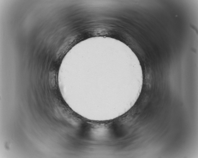 X0000103940169200810171823