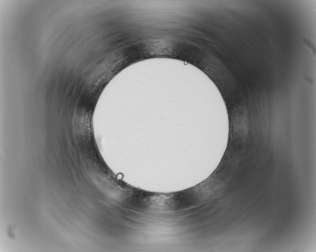 X0000103940172200810171823