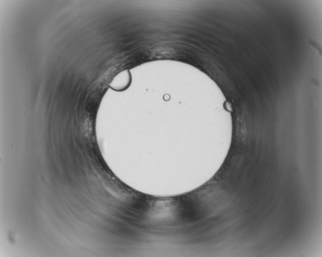 X0000103940173200810171823