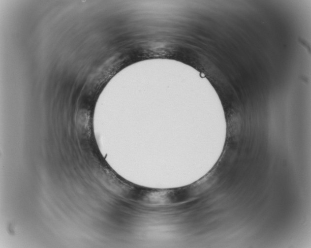 X0000103940178200810171823