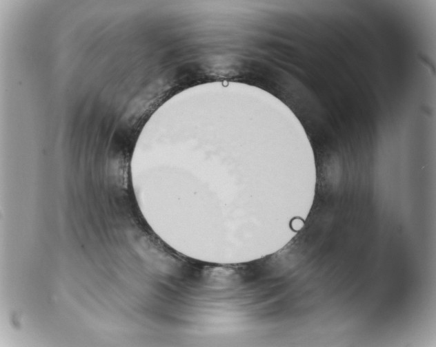 X0000103940180200810171823