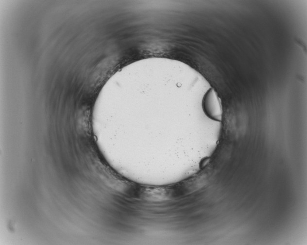 X0000103940181200810171823