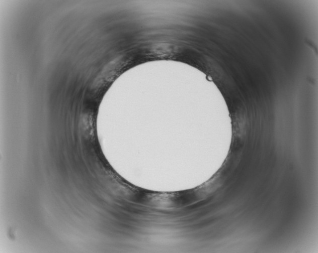 X0000103940182200810171823