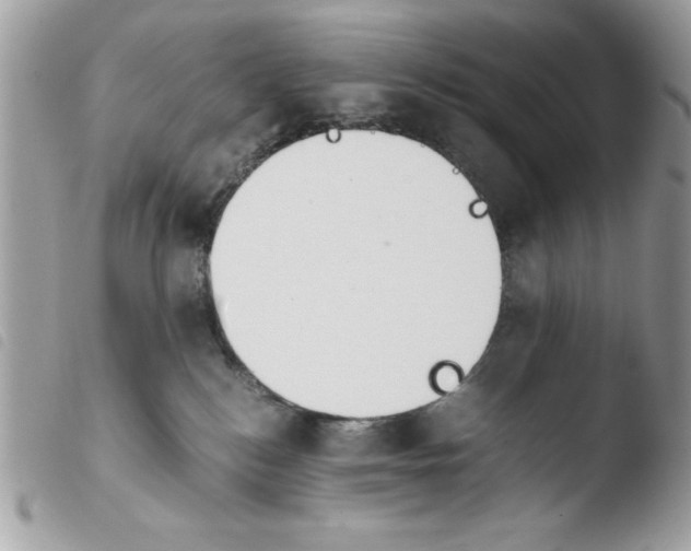 X0000103940184200810171823