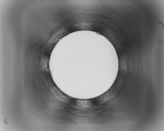 X0000103940185200810171823