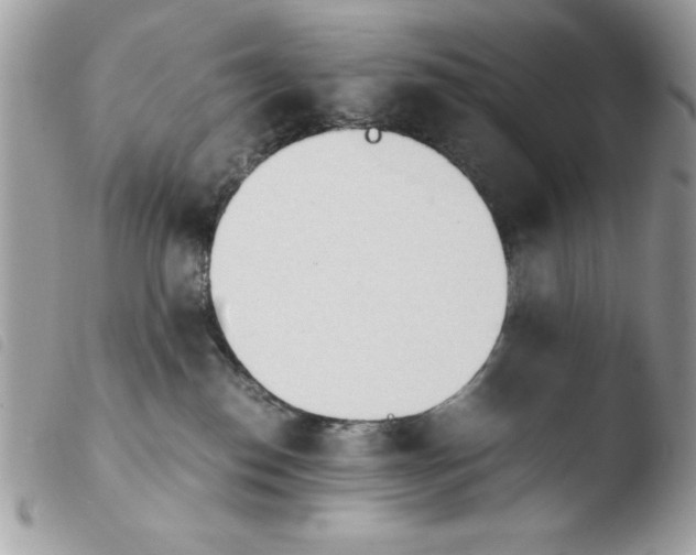 X0000103940186200810171823