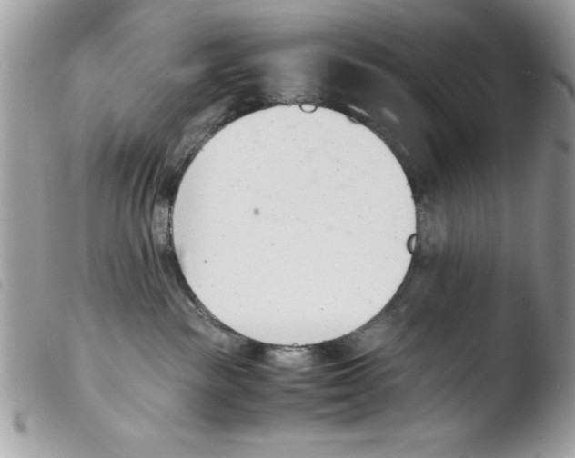 X0000103940189200810171823