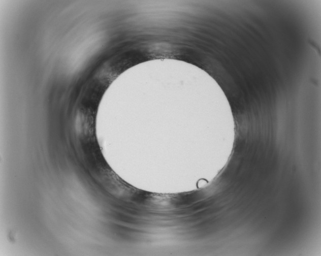 X0000103940190200810171823