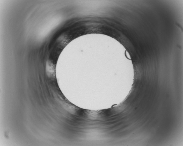 X0000103940191200810171823