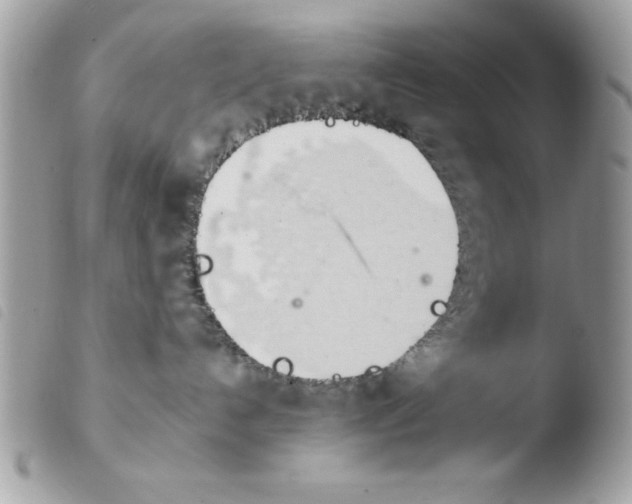 X0000103940192200810171823