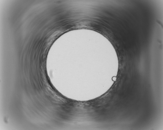 X0000103940193200810171823