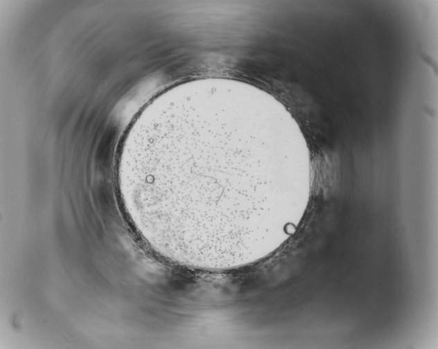 X0000103940195200810171822