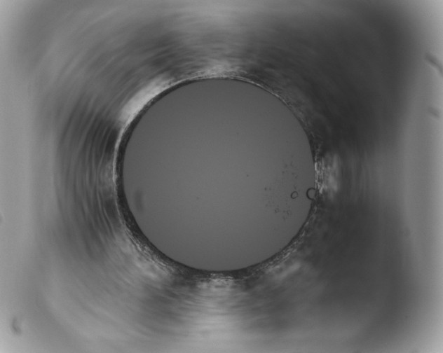 X0000103940196200810171822