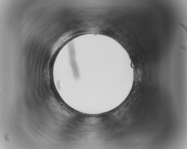 X0000103940198200810171822