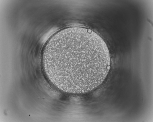 X0000103940199200810171822