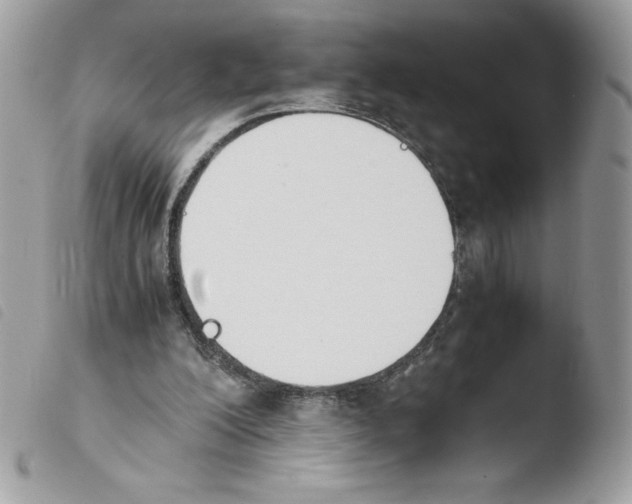 X0000103940200200810171822