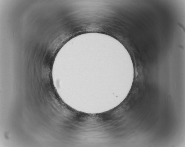 X0000103940201200810171822