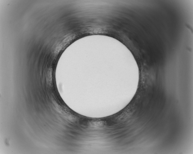 X0000103940202200810171822