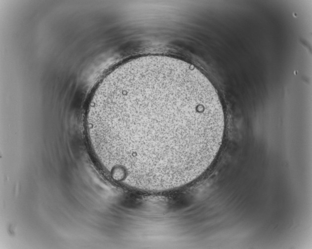 X0000103940203200810171822